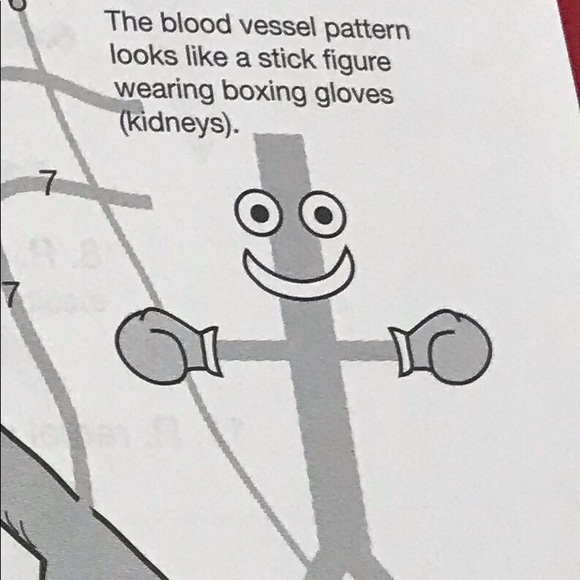 Meet your Posher, Addison - Picture 1 of 1